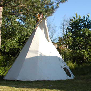 tipi